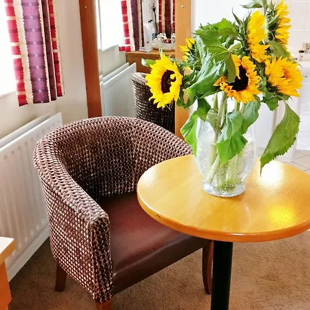 The Pier 3* Limerick Junction