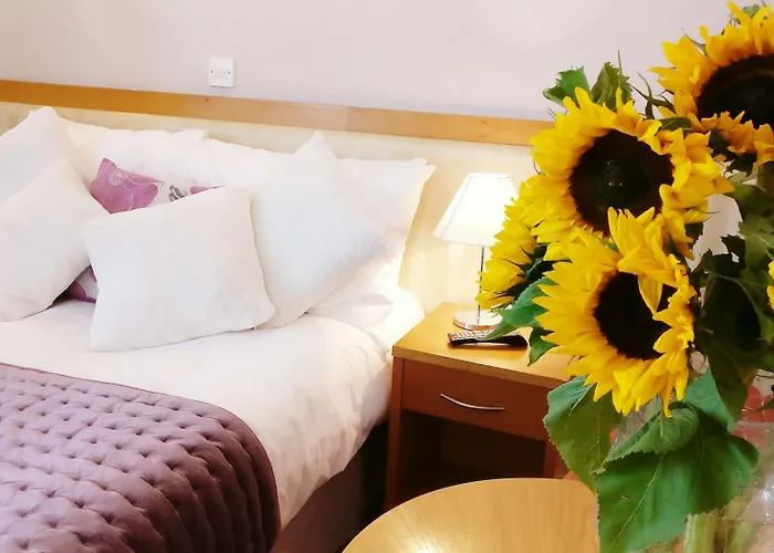 Hotel The Pier Limerick Junction