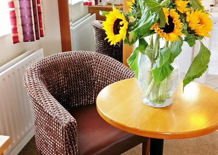 The Pier 3* Limerick Junction