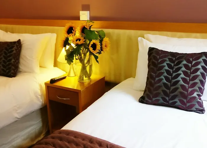 The Pier Limerick Junction